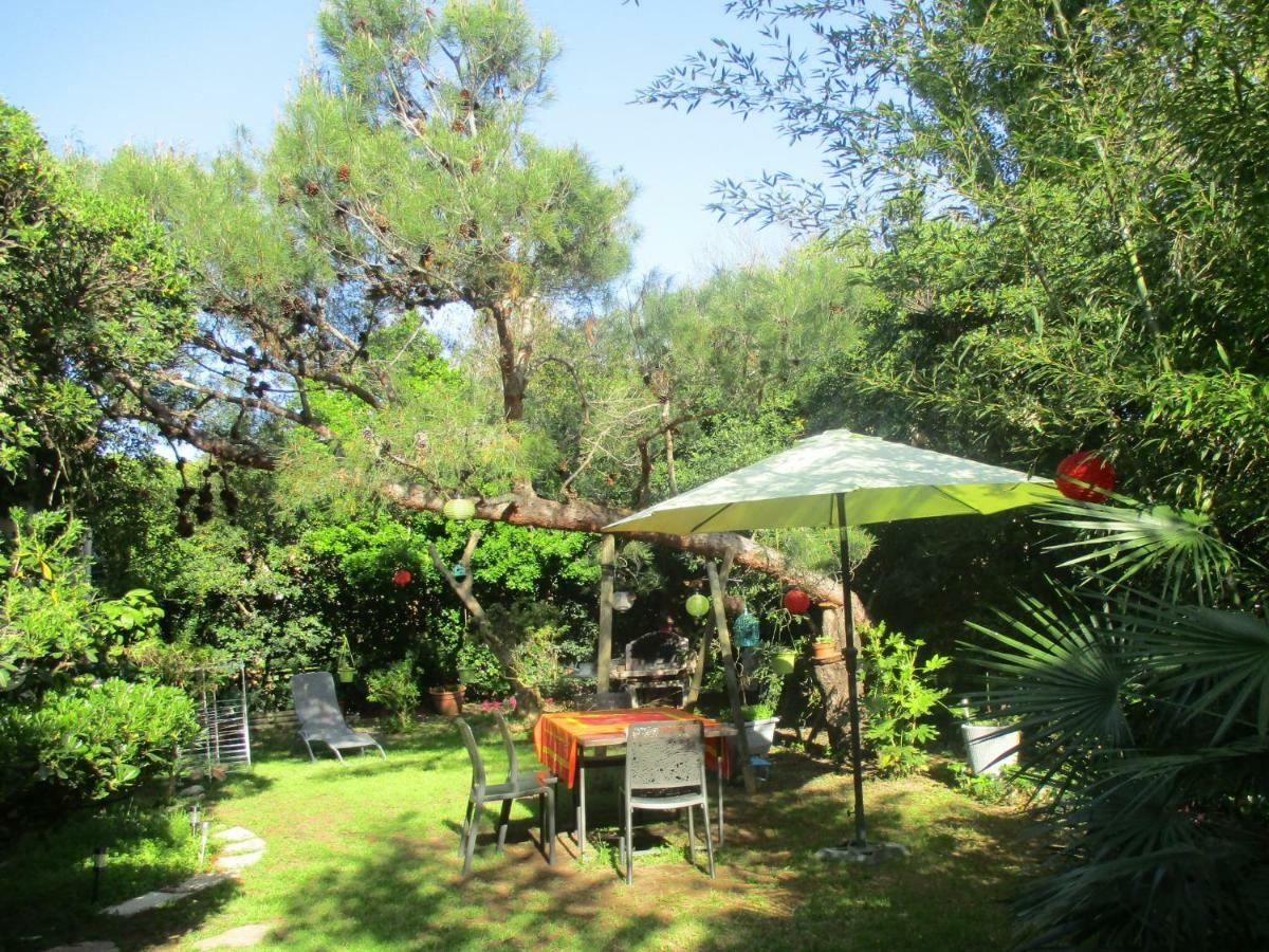 Jardin Et Bambous, Studio Cosy, Classe 2 Etoiles Marseillan  Exteriör bild