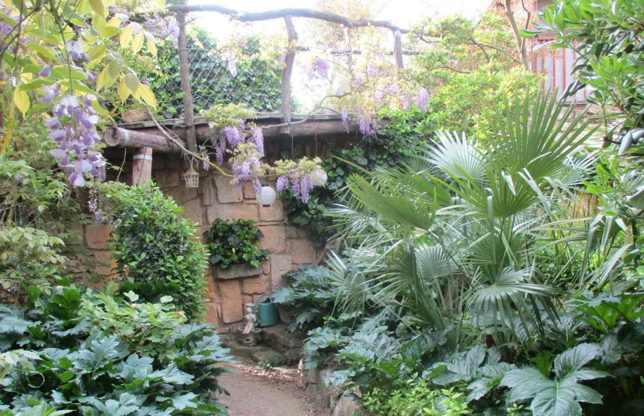 Jardin Et Bambous, Studio Cosy, Classe 2 Etoiles Marseillan  Exteriör bild