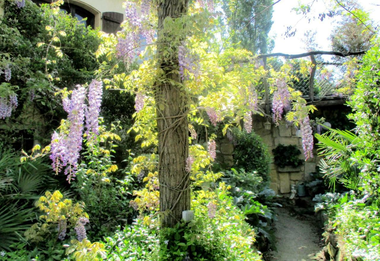 Jardin Et Bambous, Studio Cosy, Classe 2 Etoiles Marseillan  Exteriör bild