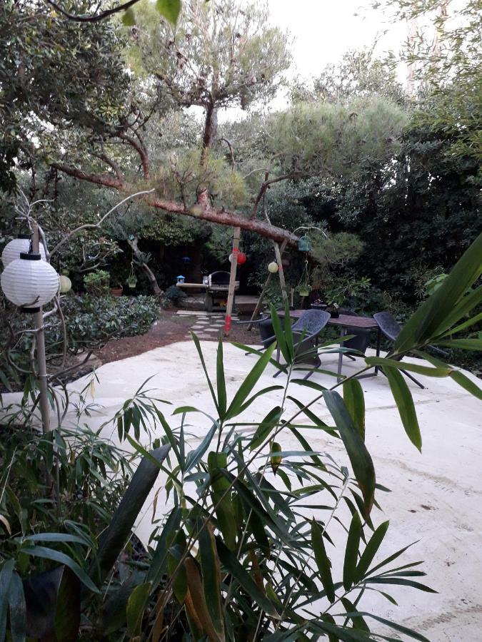 Jardin Et Bambous, Studio Cosy, Classe 2 Etoiles Marseillan  Exteriör bild