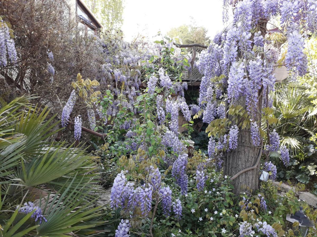 Jardin Et Bambous, Studio Cosy, Classe 2 Etoiles Marseillan  Exteriör bild