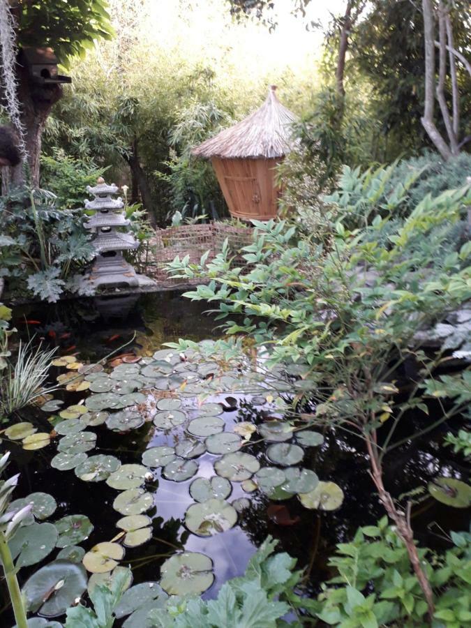 Jardin Et Bambous, Studio Cosy, Classe 2 Etoiles Marseillan  Exteriör bild